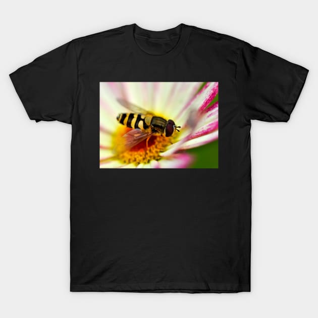 A hoverfly looking for pollen in a flower T-Shirt by marina63